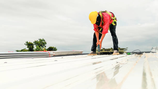 Best Steel Roofing  in Monte Sereno, CA